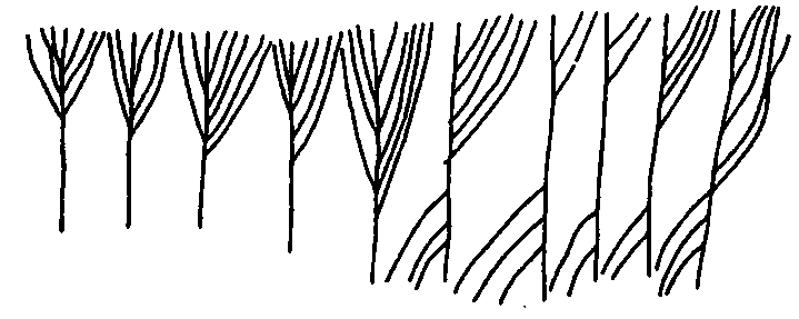 Повседневная жизнь викингов IX–XI века i_042.png
