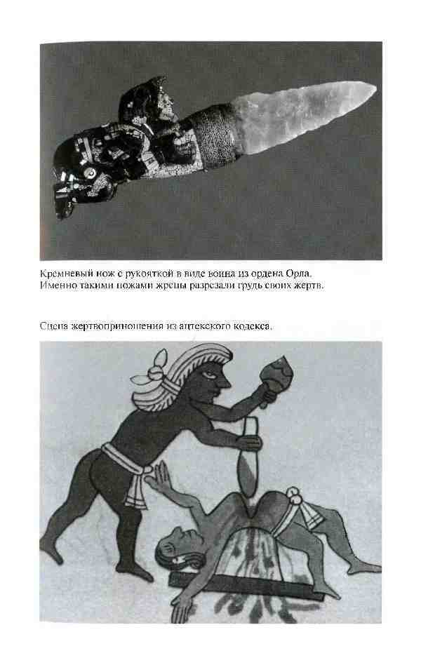 Повседневная жизнь ацтеков накануне испанского завоевания _7.jpg