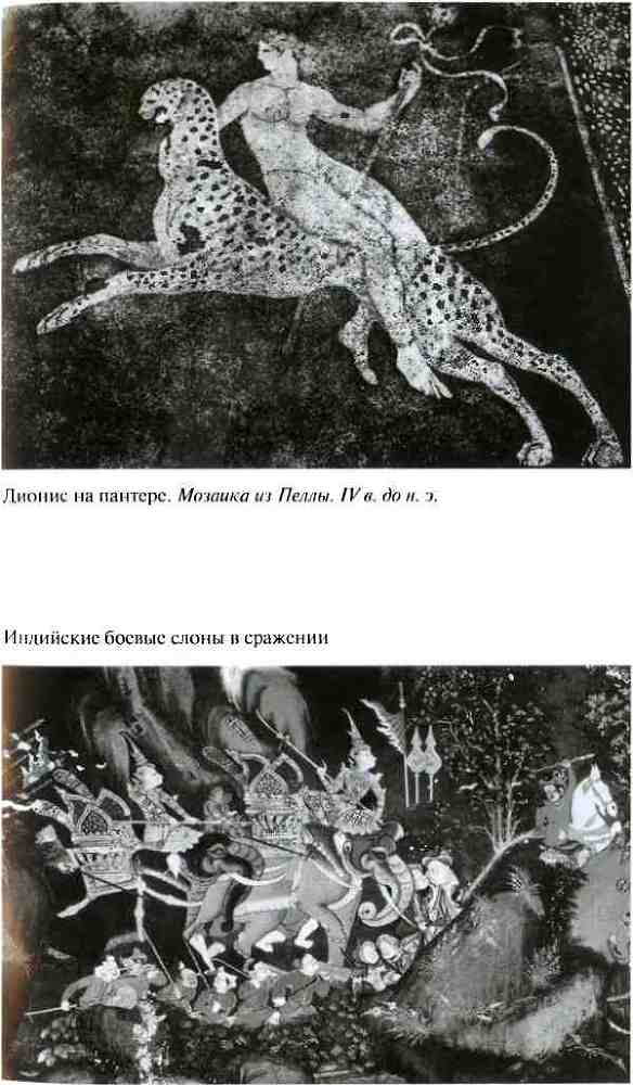 Повседневная жизнь армии Александра Македонского i_015.jpg
