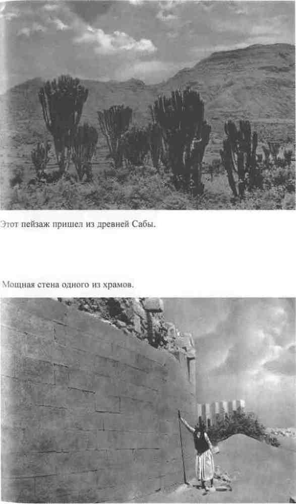 Повседневная жизнь Аравии Счастливой времен царицы Савской. VIII век до н.э. - I век н.э. _9.jpg
