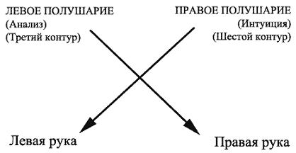 Психология эволюции i_025.jpg