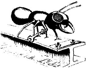 Психология эволюции i_028.jpg