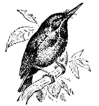 Большая Советская Энциклопедия (ТО) i010-001-276161058.jpg