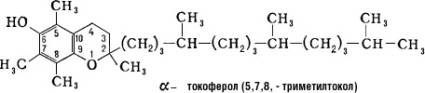 Большая Советская Энциклопедия (ТО) i-images-166583610.jpg