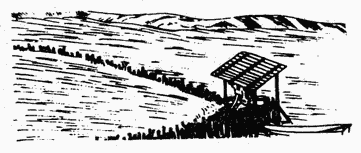 Дневник эфемерной жизни (с илл.) CN117R.png