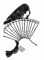 Дневник эфемерной жизни (с илл.) CN136R.png