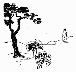 Дневник эфемерной жизни (с илл.) CN163R.png