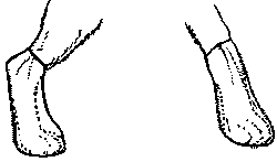 Собака-спасатель: Подготовка и обучение i_008.png