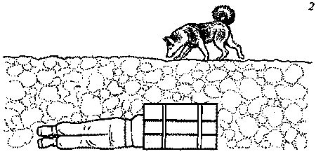 Собака-спасатель: Подготовка и обучение i_012.png