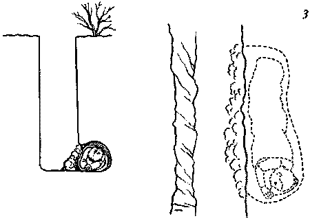 Собака-спасатель: Подготовка и обучение i_013.png