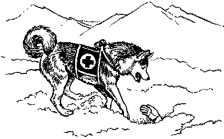 Собака-спасатель: Подготовка и обучение i_003.png
