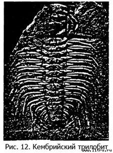Православное мировоззрение и современное естествознание fig.12.jpg