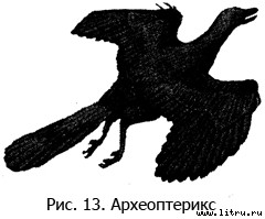 Православное мировоззрение и современное естествознание fig.13.jpg