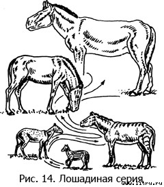 Православное мировоззрение и современное естествознание fig.14.jpg