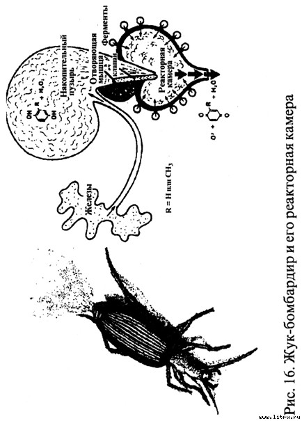 Православное мировоззрение и современное естествознание fig.16.jpg