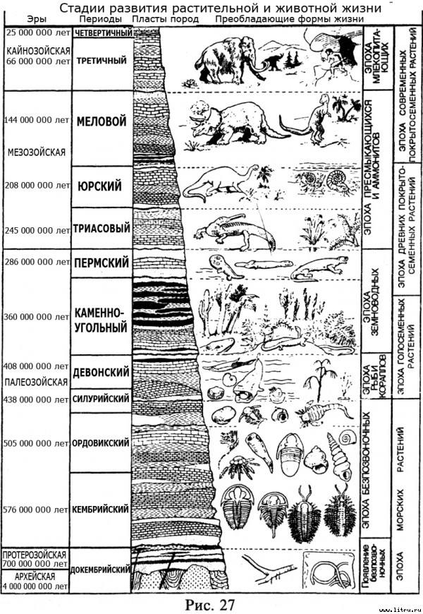 Православное мировоззрение и современное естествознание fig.27.jpg