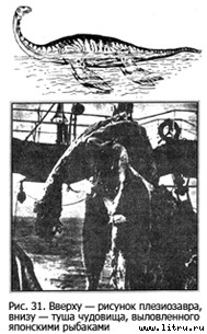 Православное мировоззрение и современное естествознание fig.31.jpg