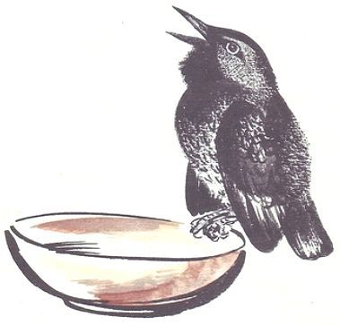 Почему Тюпа не ловит птиц (с илл.) i_015.jpg