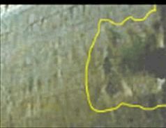Российское общество и гибель АПЛ “Курск” pic_42.jpg