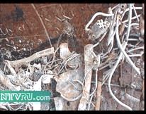 Российское общество и гибель АПЛ “Курск” pic_50.jpg