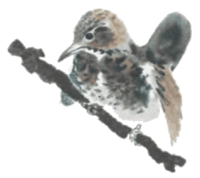 Тюпа, Томка и сорока i_013.png