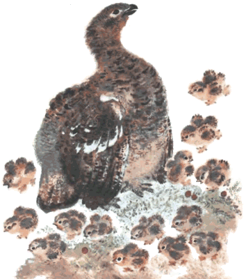 Тюпа, Томка и сорока i_016.png