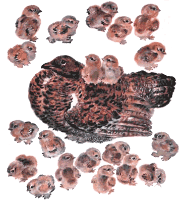 Тюпа, Томка и сорока i_017.png