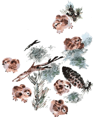 Тюпа, Томка и сорока i_019.png