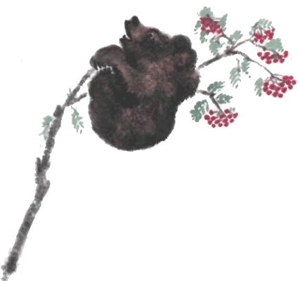 Тюпа, Томка и сорока i_024.png