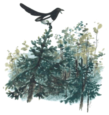 Тюпа, Томка и сорока i_025.png