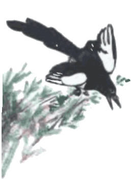 Тюпа, Томка и сорока i_028.png