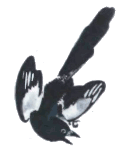 Тюпа, Томка и сорока i_032.png