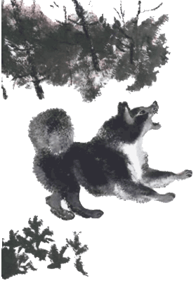 Тюпа, Томка и сорока i_033.png