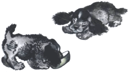 Тюпа, Томка и сорока i_039.png