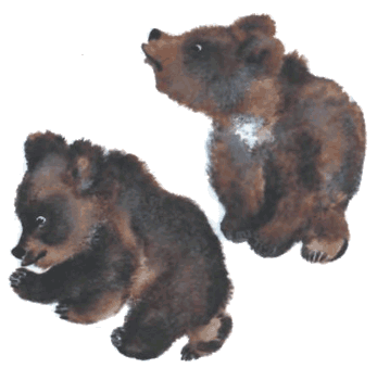 Тюпа, Томка и сорока i_054.png