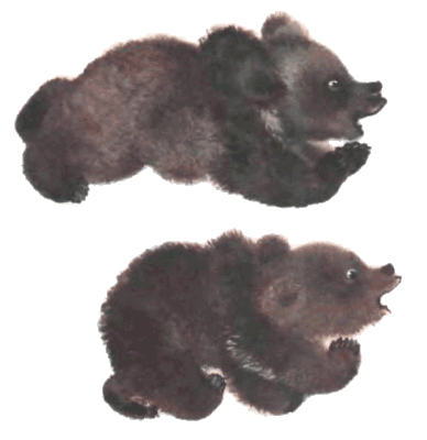 Тюпа, Томка и сорока i_058.png