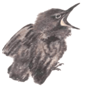 Тюпа, Томка и сорока i_060.png