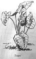 Томек среди охотников за человеческими головами pic6.png