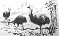 Томек среди охотников за человеческими головами pic23.png