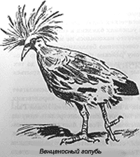 Томек среди охотников за человеческими головами pic44.png