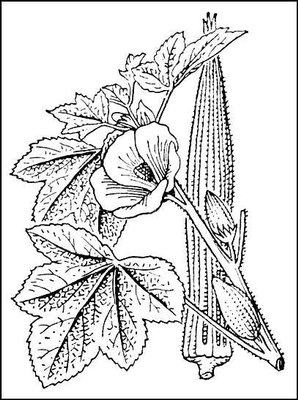 Большая Советская Энциклопедия (БА) i010-001-272834843.jpg