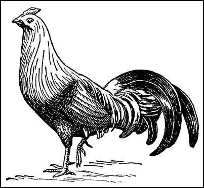 Большая Советская Энциклопедия (БА) i010-001-256572799.jpg