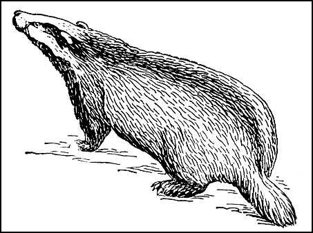 Большая Советская Энциклопедия (БА) i009-001-212008539.jpg