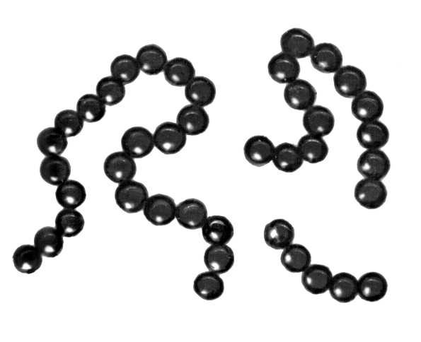 Большая Советская Энциклопедия (БА) i009-001-205424816.jpg