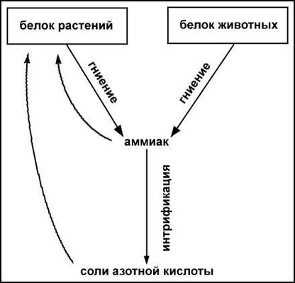 Большая Советская Энциклопедия (БА) i010-001-258175315.jpg