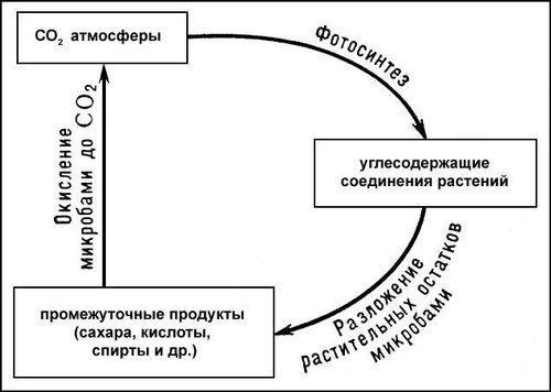 Большая Советская Энциклопедия (БА) i010-001-274230108.jpg