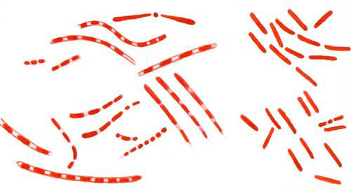 Большая Советская Энциклопедия (БА) i010-001-280620318.jpg