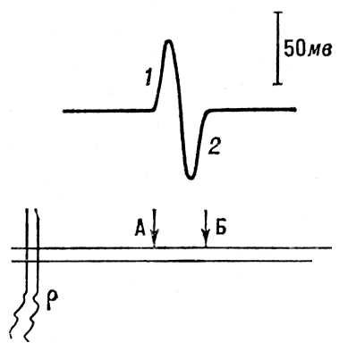 Большая Советская Энциклопедия (БИ) i010-001-253711707.jpg