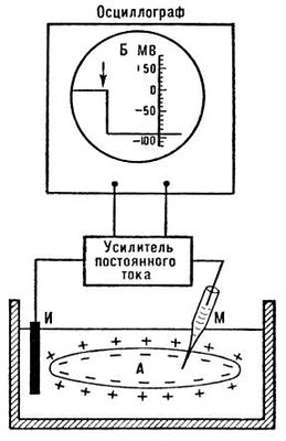 Большая Советская Энциклопедия (БИ) i010-001-271180532.jpg