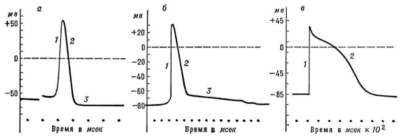 Большая Советская Энциклопедия (БИ) i010-001-275158974.jpg